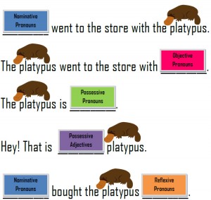 Pronoun Platypus