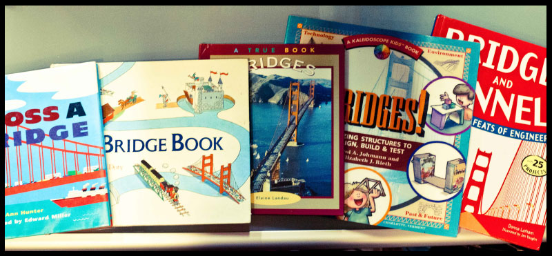 Great Books for using with the bridge science project (CC Cycle 2 Weeks 20-21)