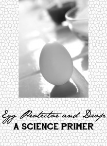 Classical Conversations Cycle 2 Egg Protector Egg Drop Science